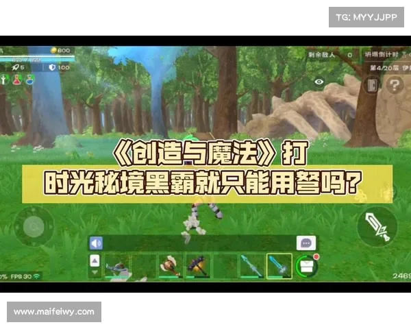 如何在幻影纹章中掌握魔法秘境的奥秘与技巧全面解析 如何在幻影纹章中掌握魔法秘境的奥秘与技巧全面解析